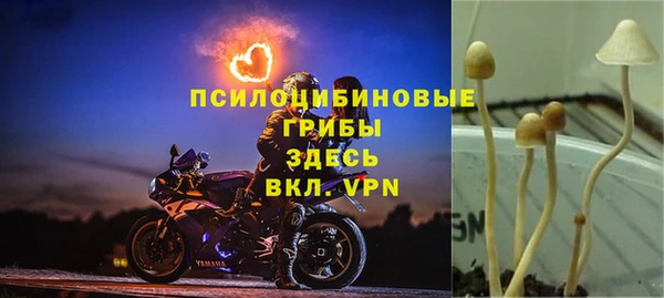 гидра Абинск