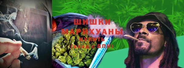 spice Абаза