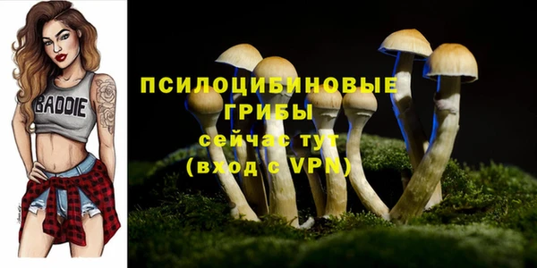 гидра Абинск
