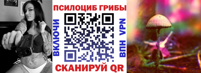 Псилоцибиновые грибы Cubensis  Псков 