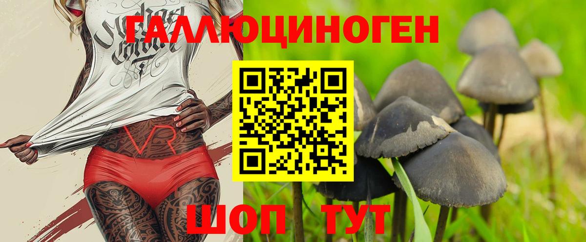 Галлюциногенные грибы MAGIC MUSHROOMS  Вход с VPN  Псков 