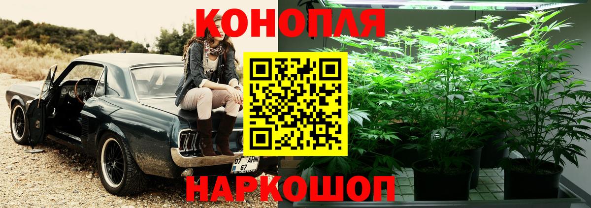 Бошки Шишки THC 21% Псков